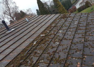 Moss Removal - Woking Surrey Roofer - DLE Roofing